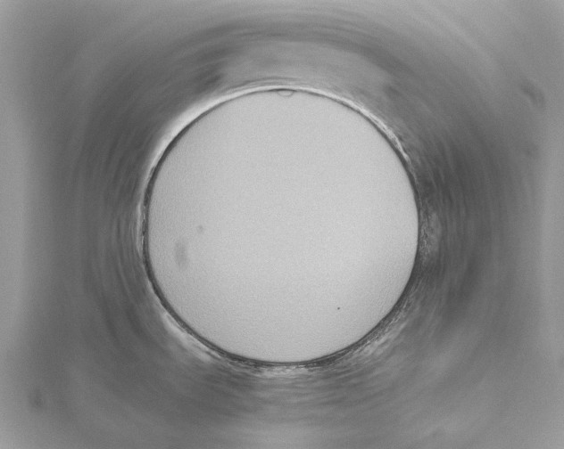 X0000115441535200912020934