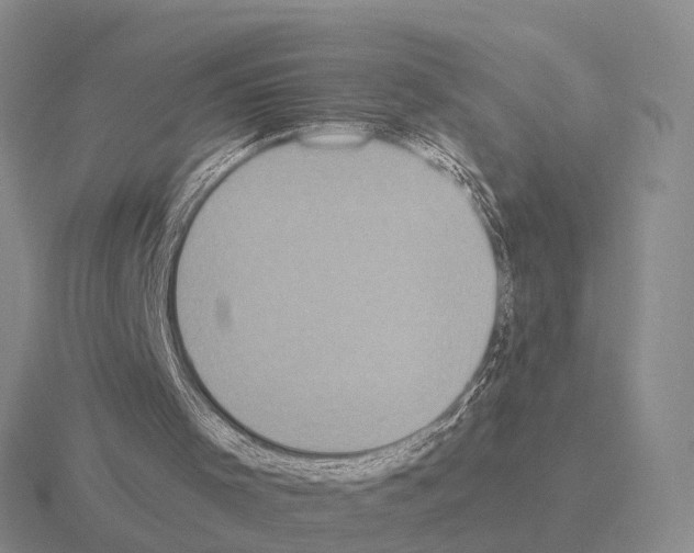 X0000115440001200912161503