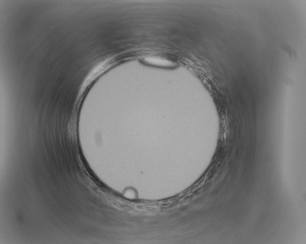 X0000115440004200912161503