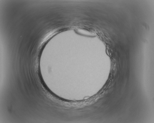 X0000115440005200912161503