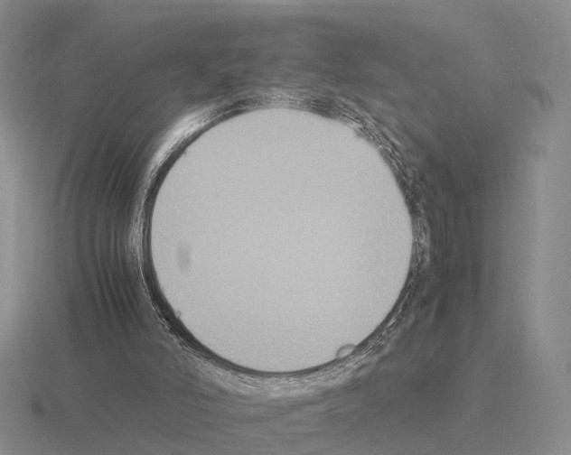 X0000115440006200912161503