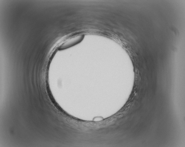 X0000115440007200912161503