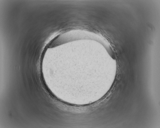 X0000115440008200912161503