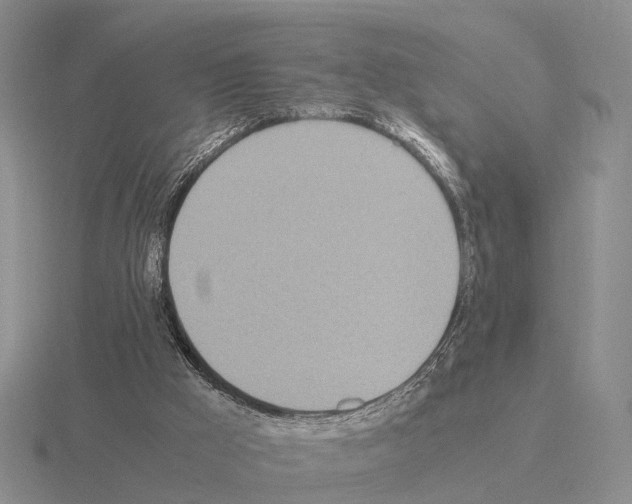 X0000115440009200912161503
