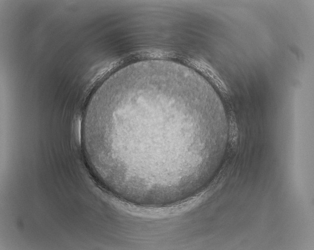X0000115440014200912161503