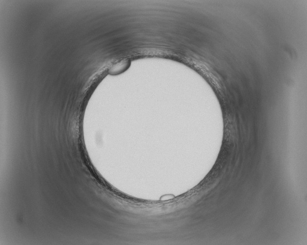 X0000115440015200912161503