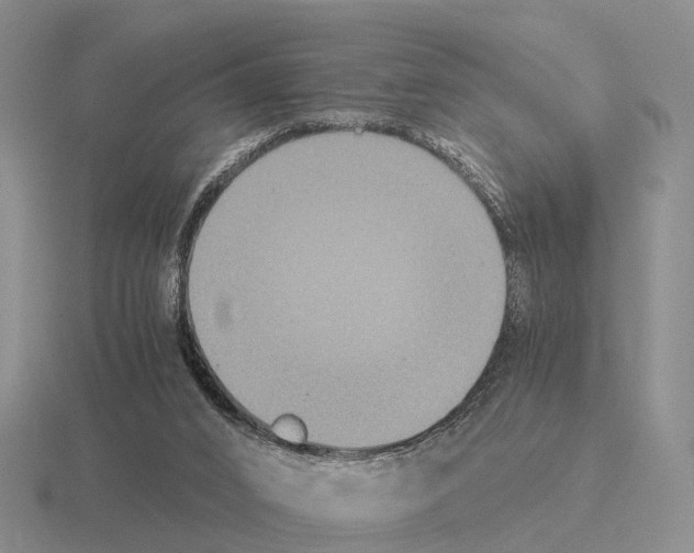 X0000115440016200912161503