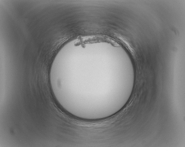 X0000115440017200912161503