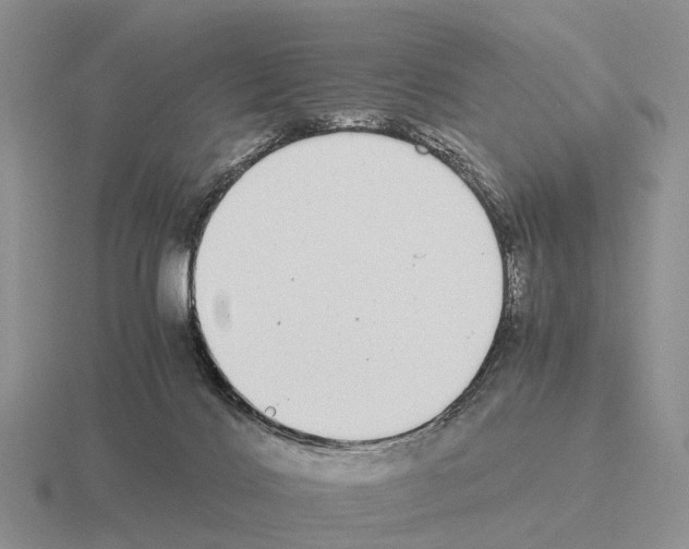 X0000115440028200912161503