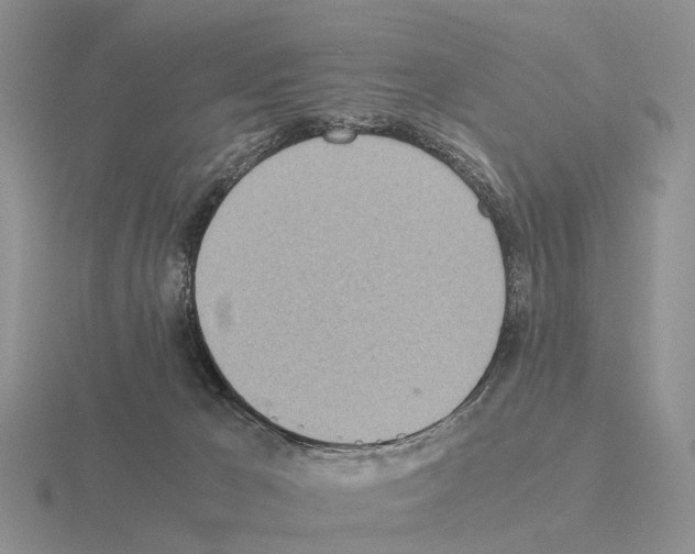 X0000115440029200912161503