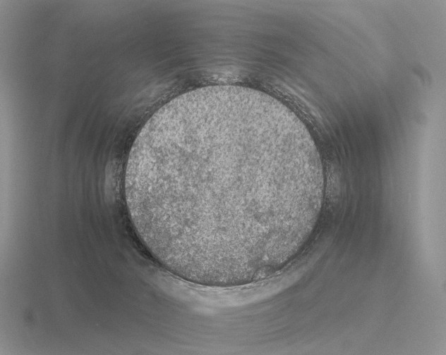 X0000115440030200912161503