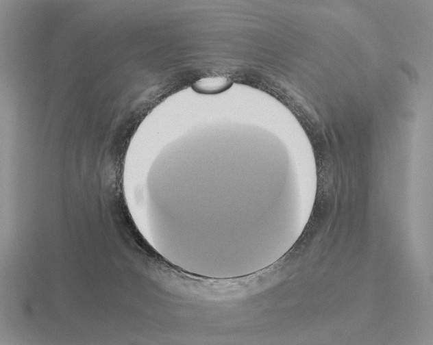 X0000115440031200912161503