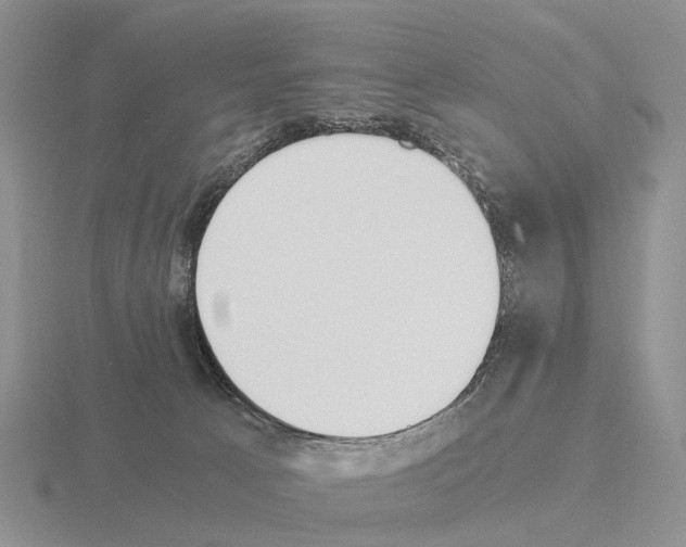 X0000115440033200912161503