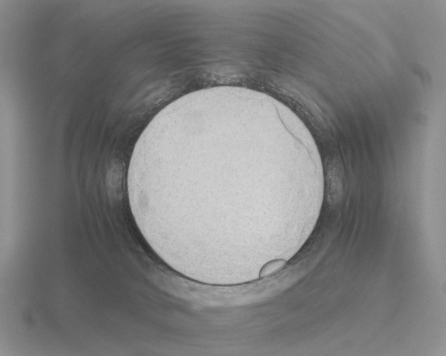 X0000115440034200912161503
