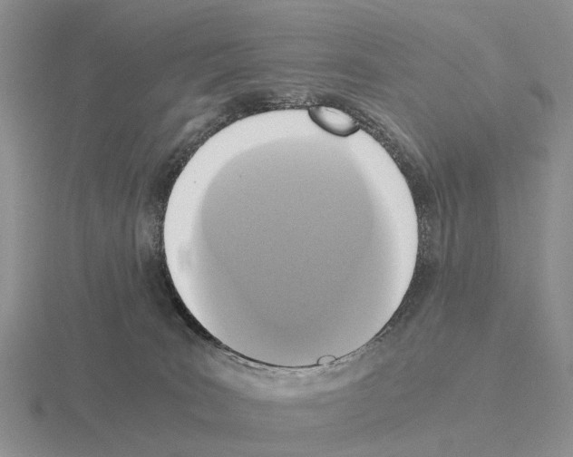 X0000115440035200912161503