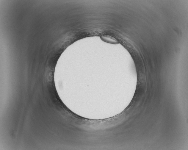 X0000115440037200912161503
