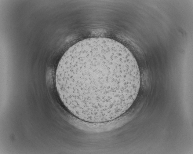 X0000115440038200912161503