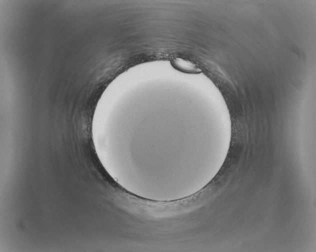 X0000115440039200912161503