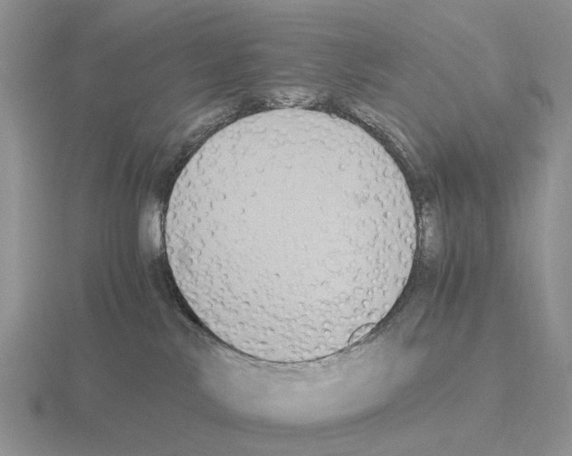 X0000115440042200912161503