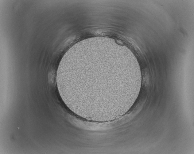 X0000115440044200912161503