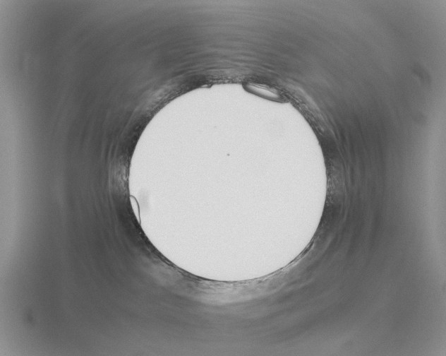 X0000115440045200912161503