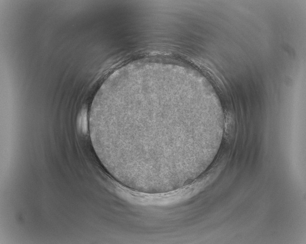 X0000115440046200912161503