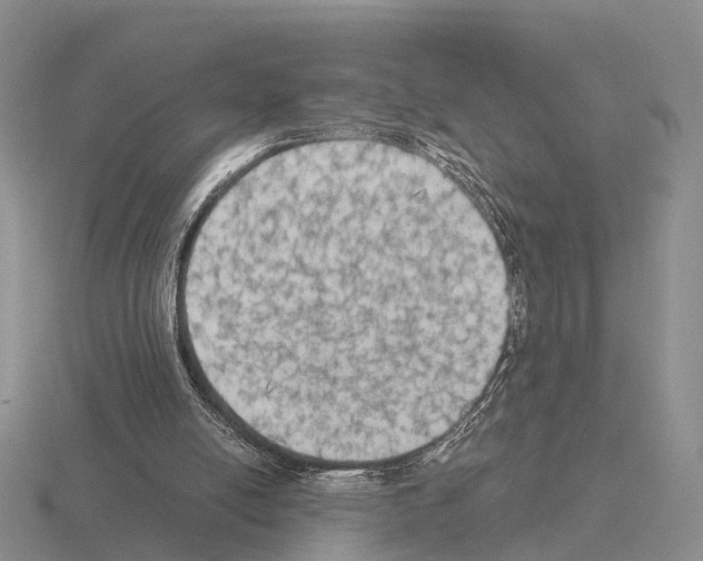 X0000115440054200912161502