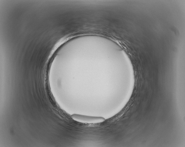 X0000115440056200912161502