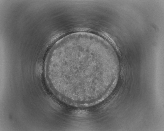 X0000115440063200912161502