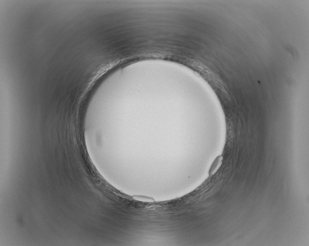 X0000115440064200912161502