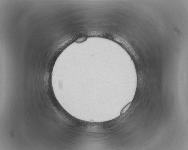 X0000115440066200912161502