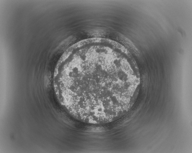X0000115440073200912161503