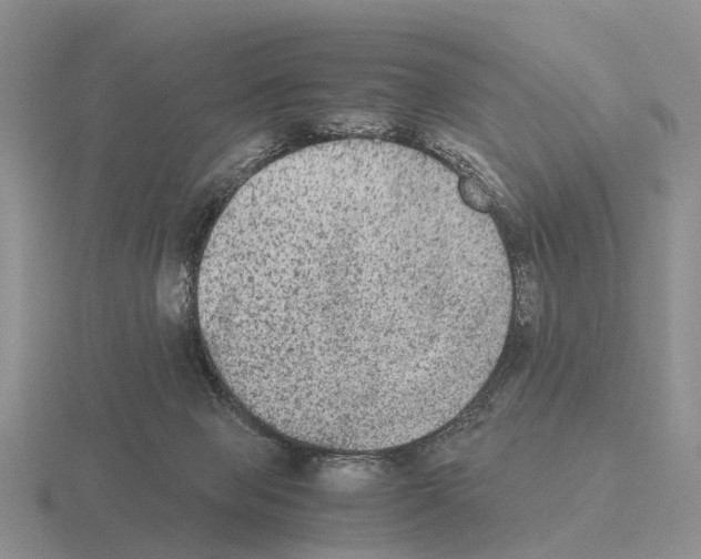 X0000115440077200912161503