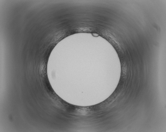 X0000115440079200912161503