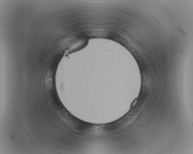 X0000115440080200912161503