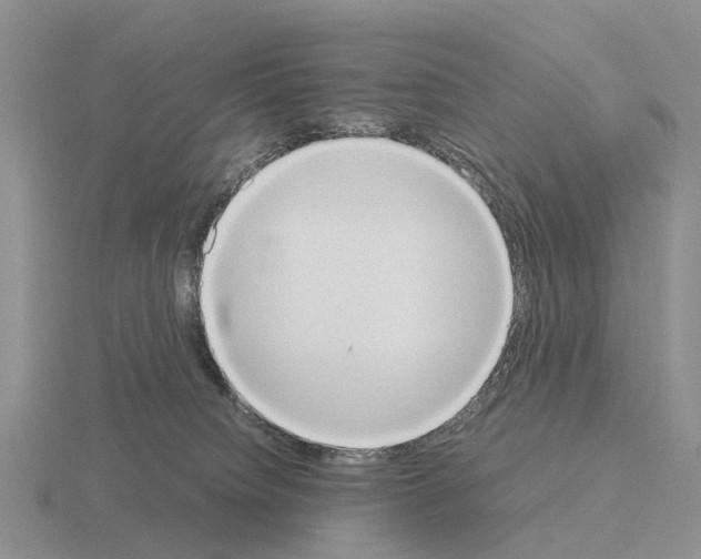 X0000115440084200912161503