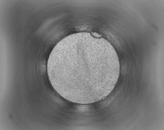 X0000115440085200912161503