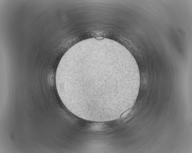 X0000115440090200912161503