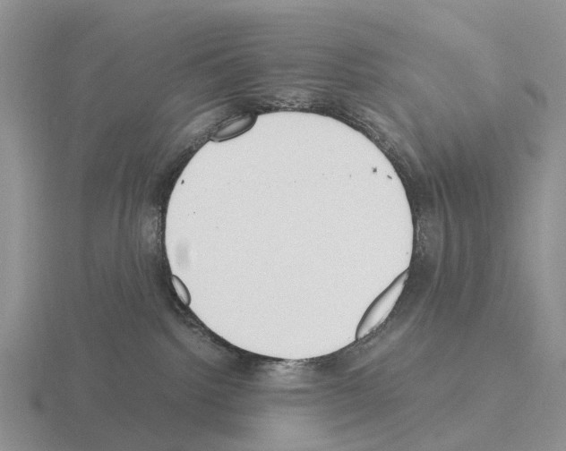 X0000115440092200912161503