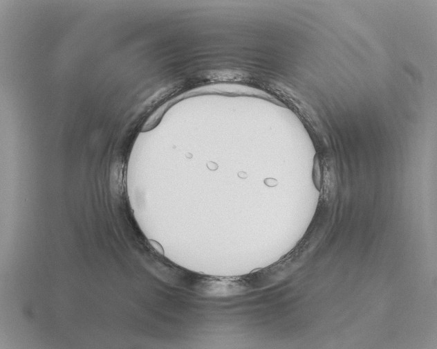 X0000115440093200912161503
