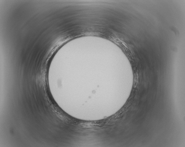 X0000115440098200912161502