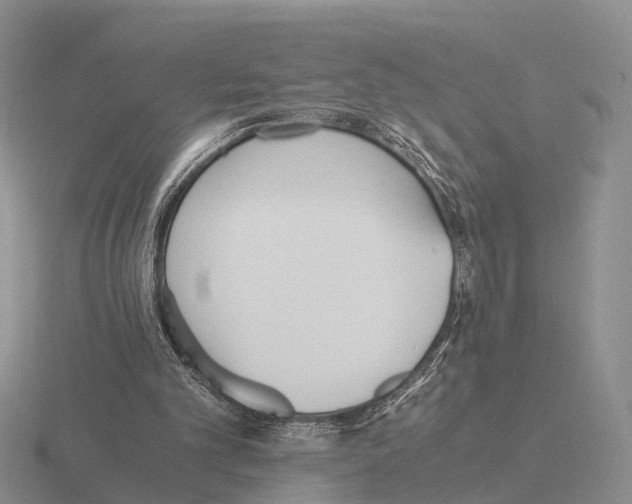 X0000115440101200912161502