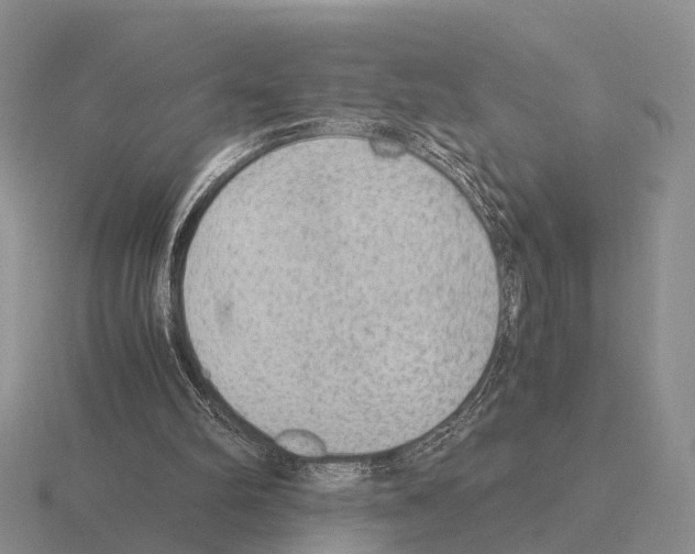 X0000115440102200912161502
