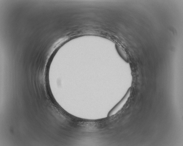 X0000115440104200912161502