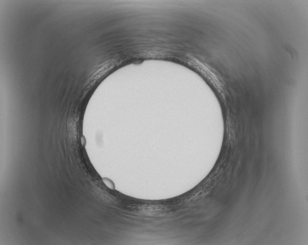 X0000115440105200912161502