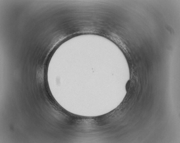 X0000115440108200912161502