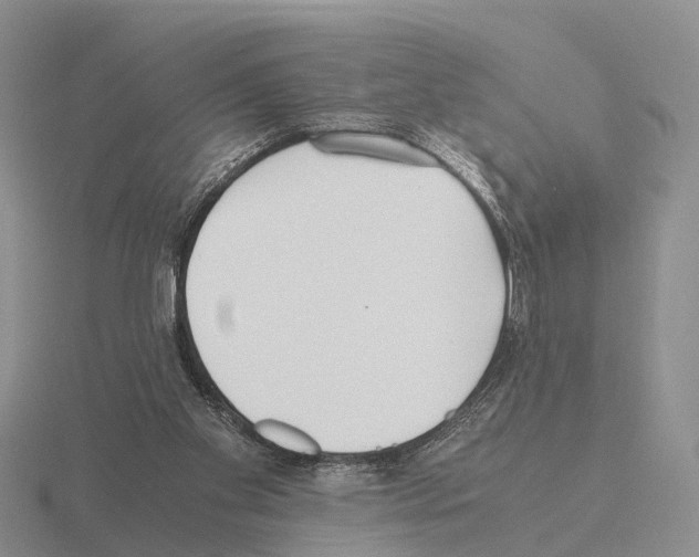 X0000115440109200912161502