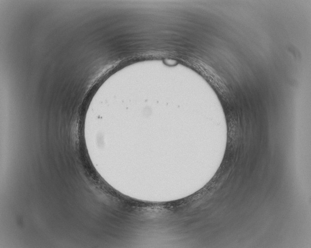 X0000115440112200912161502