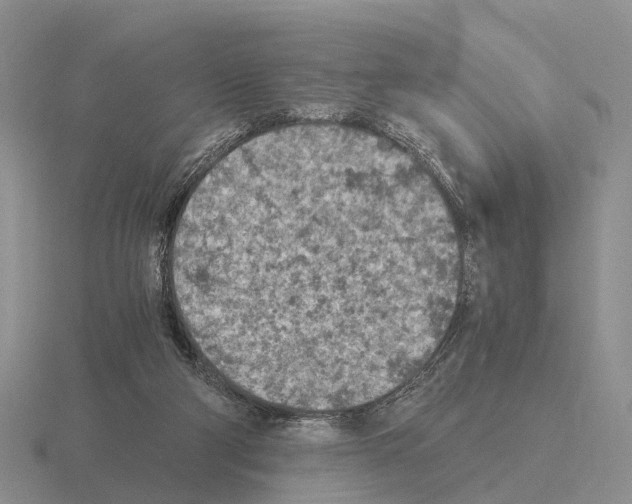 X0000115440114200912161502
