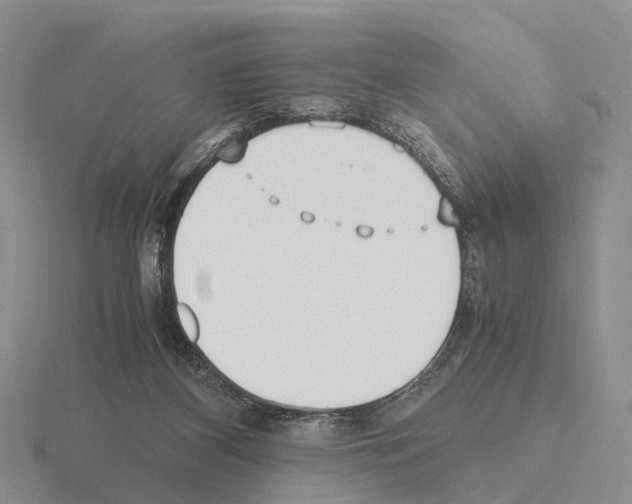 X0000115440116200912161502